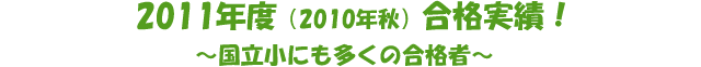 2011年度（2010年秋）　合格実績