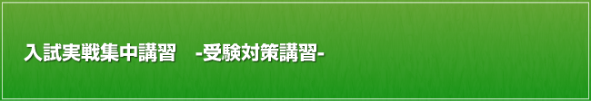 入試実戦集中講習