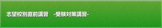 志望校別直前講習
